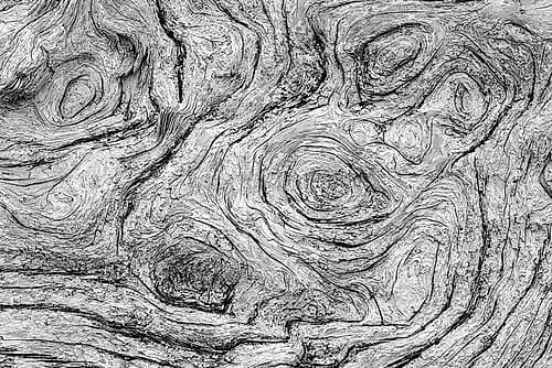 Geometric pattern in eroded driftwood-Bandon Beach-Oregon Beach Print